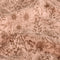 25290/014