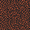24104/008