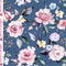 27517/007