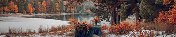 Winter Fabrics
