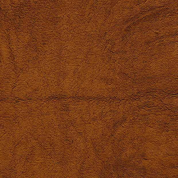 Sherpa Fleece fabric Caramel soft 