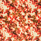 25019/014