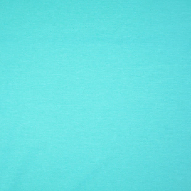 Jersey fabric Unicolour Mint