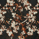 24074/128