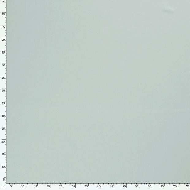 Jersey fabric Unicolour Ice Mint