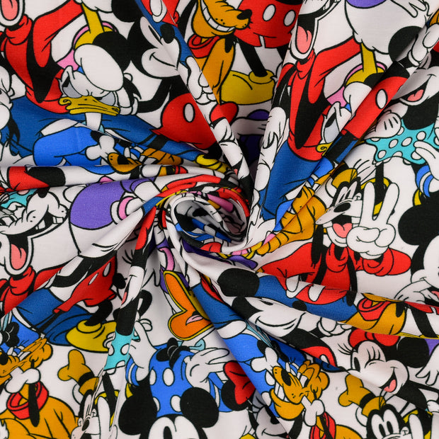 Jersey fabric Multicolor 