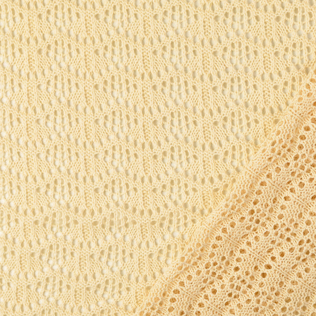 Lace fabric Nude yarn dyed 