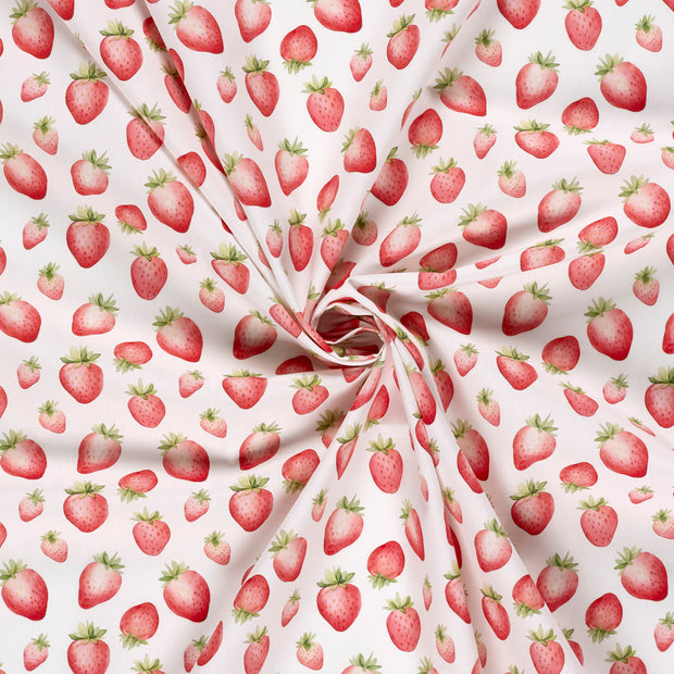 Cotton Poplin fabric White 