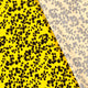 23205/034