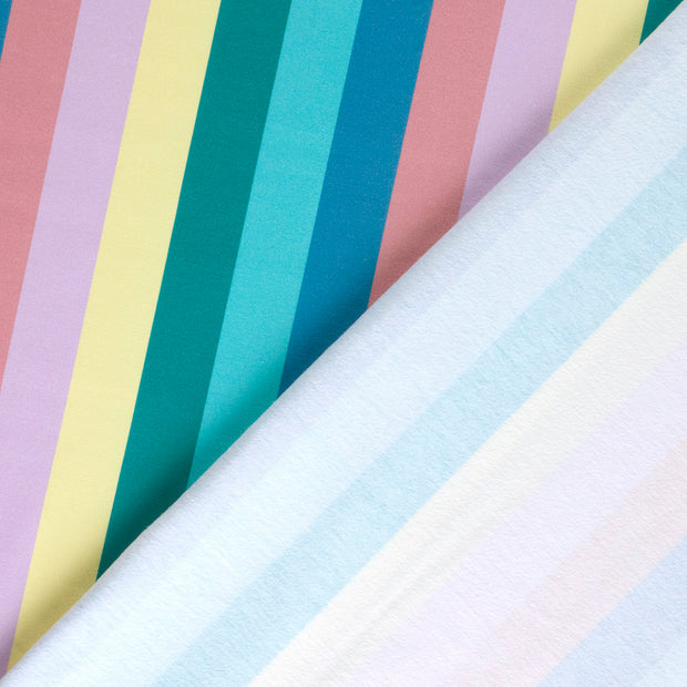 French Terry fabric Stripes brushed and digital printed 