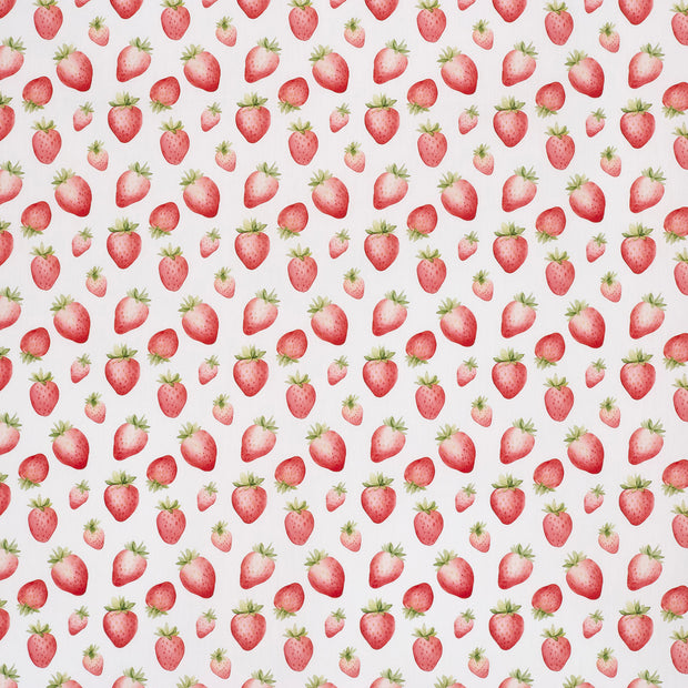 Cotton Poplin fabric White 