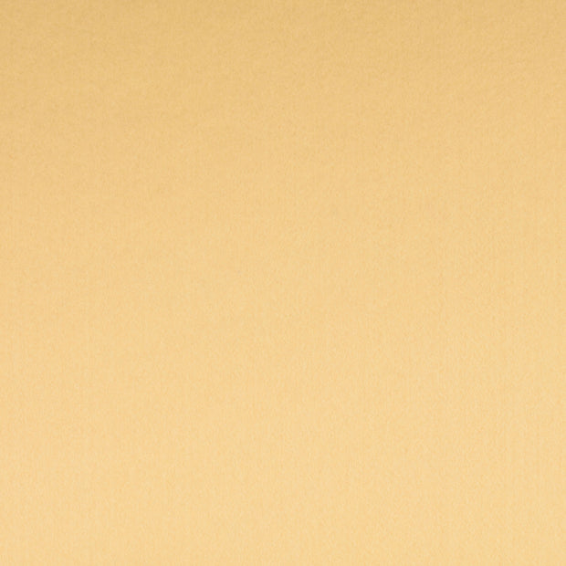 Felt fabric Unicolour Beige