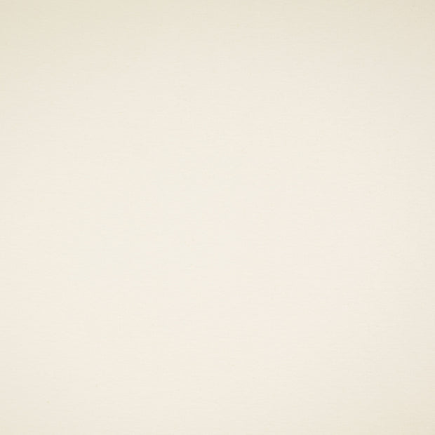 Heavy Knit fabric Unicolour Nude