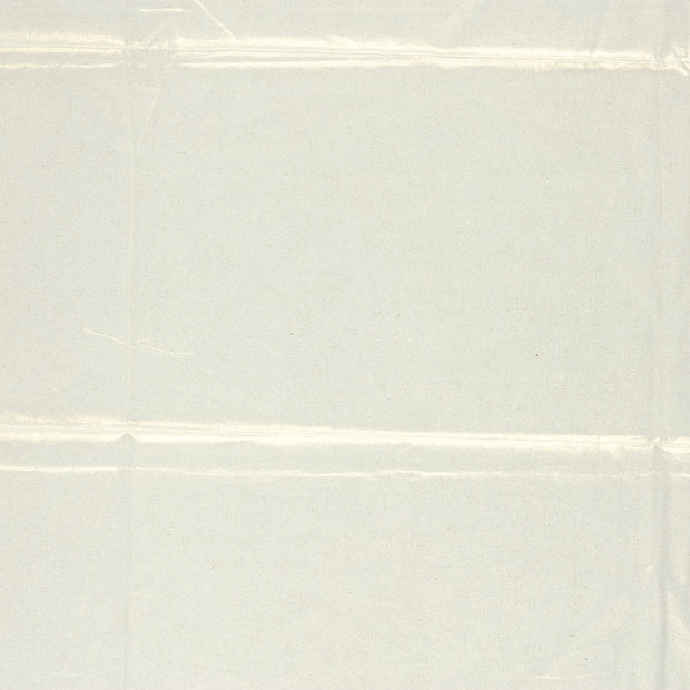 Cotton Poplin fabric  