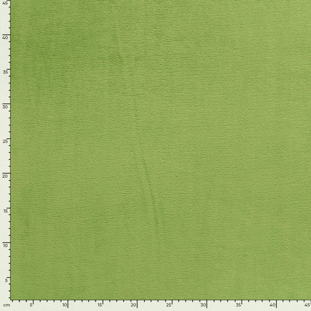 Coral Fleece fabric Unicolour Apple Green