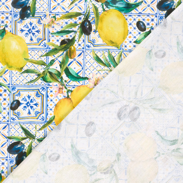 Panama fabric Fruits digital printed 