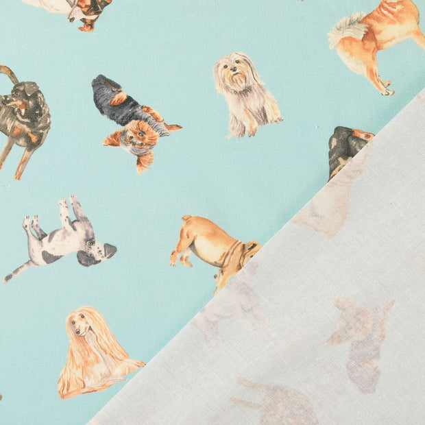 Cretonne fabric Turquoise digital printed 