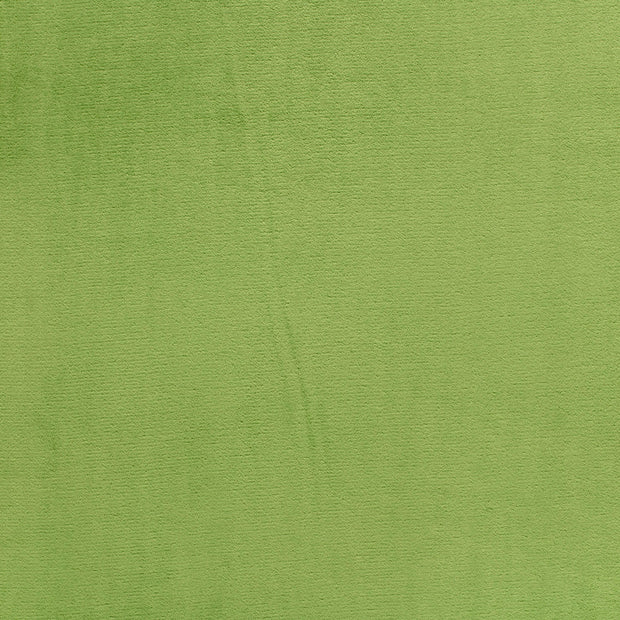 Coral Fleece fabric Apple Green soft 