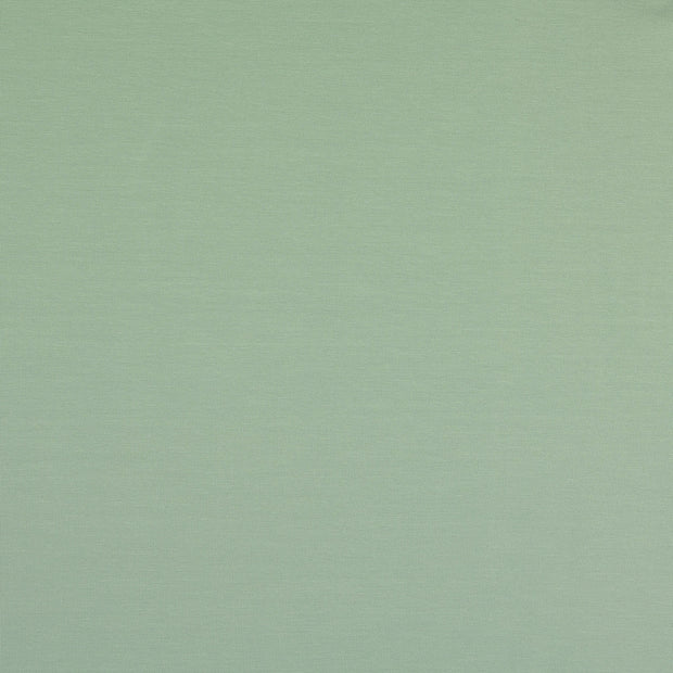 Jersey fabric Unicolour Dark Mint