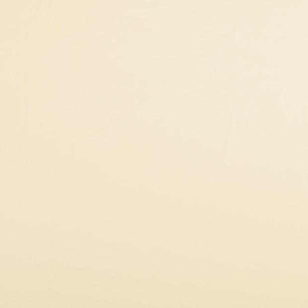 Woven Polyester fabric Nude 