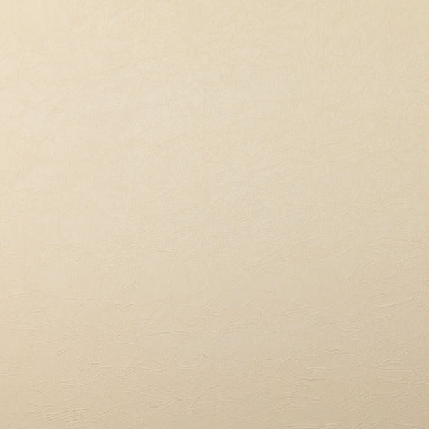 Satin fabric Unicolour Nude