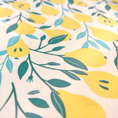Coated Tablecloth printed Fruits Optical White