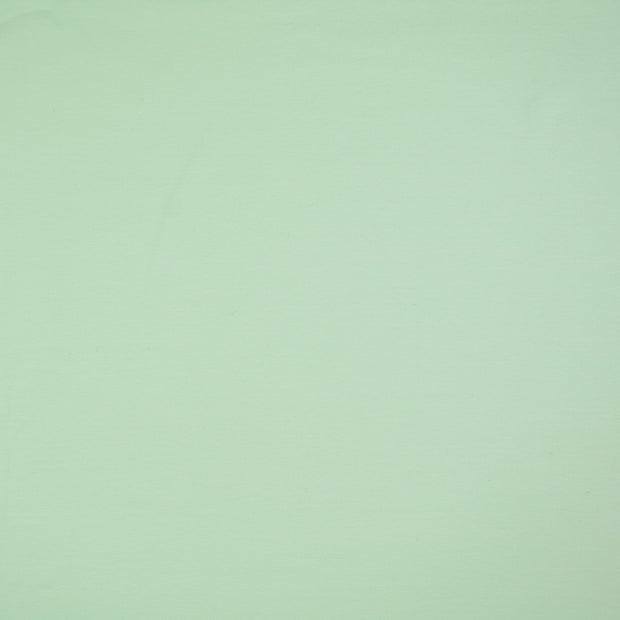 Jersey fabric Mint 