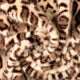 60303/055