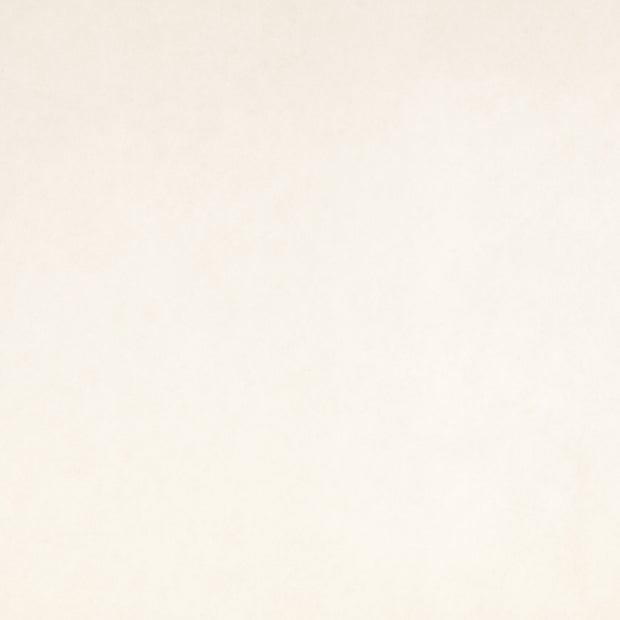 Interfacing fabric fabric Unicolour White
