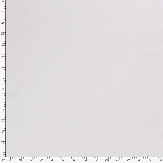 Viscose Lin Chaine et Trame tissu Unicolore Blanc optique