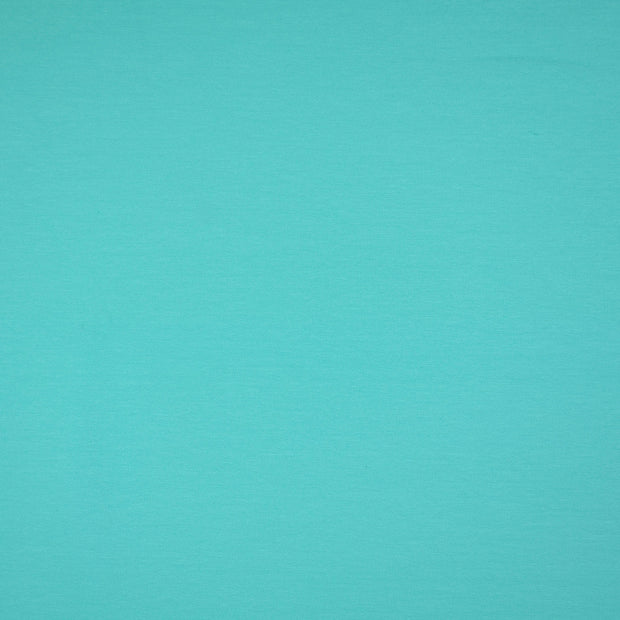French Terry fabric Unicolour Mint
