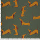 26170/028