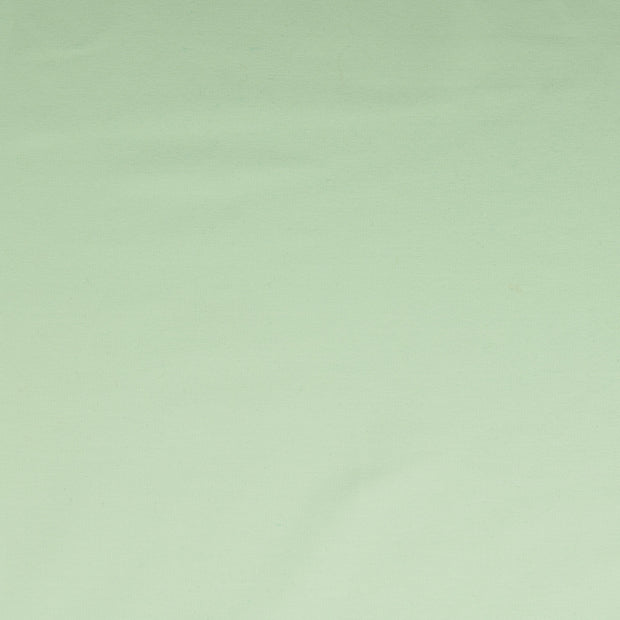 French Terry fabric Mint 