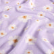 23811/043