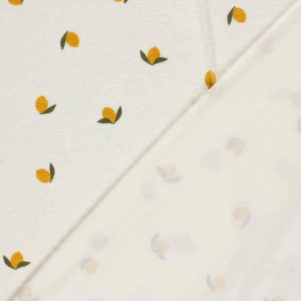 Stretch terry fabric Fruits printed 