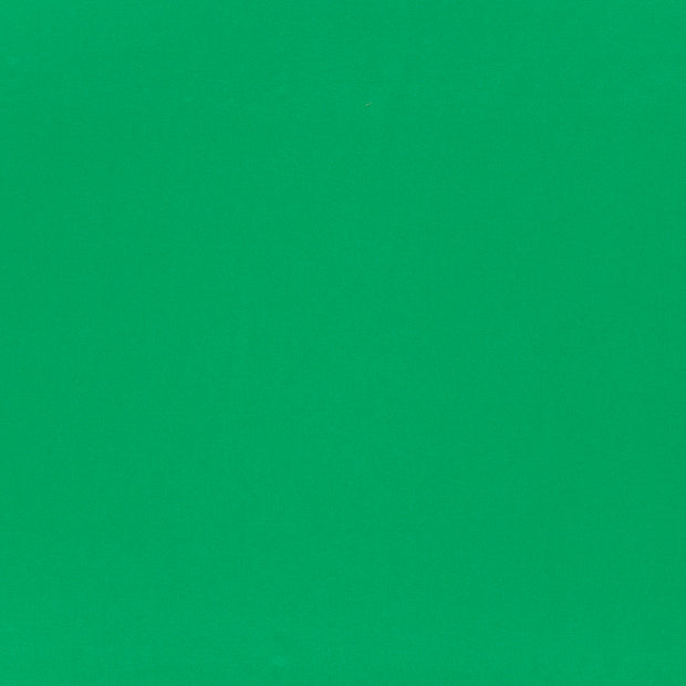 Viscose Jersey fabric Green 