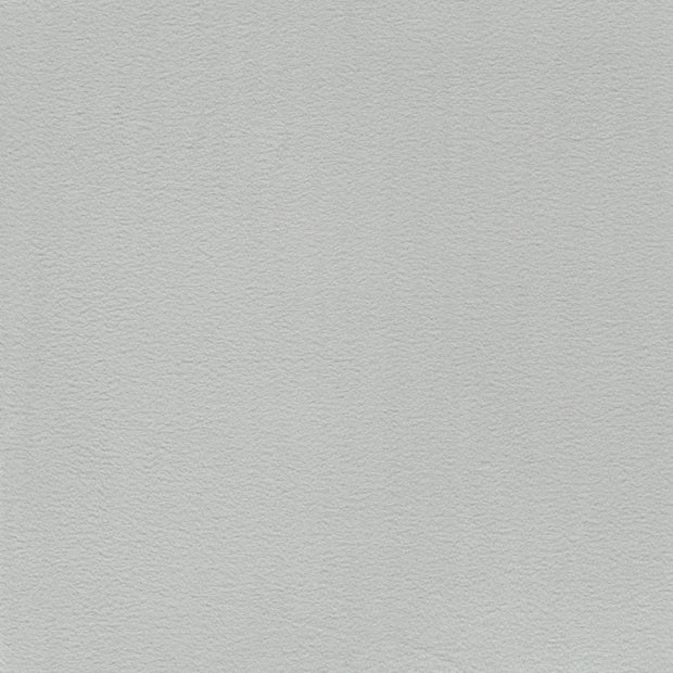 Polar Fleece fabric Light Grey soft 