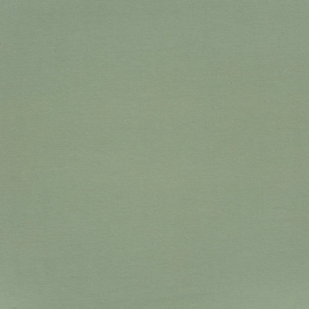 French Terry GOTS organic fabric Mint matte 