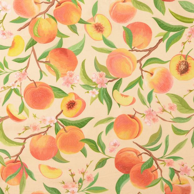 Cretonne fabric Fruits Abricot