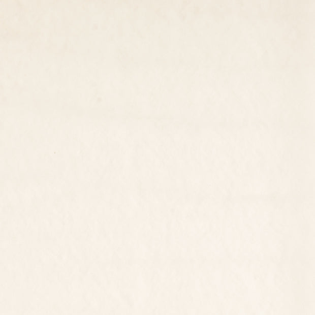 Interfacing fabric fabric Unicolour White