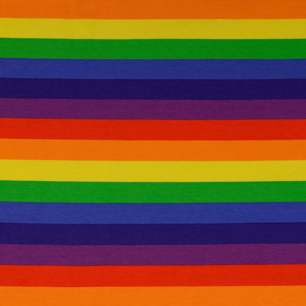 Jersey fabric Rainbow Multicolor