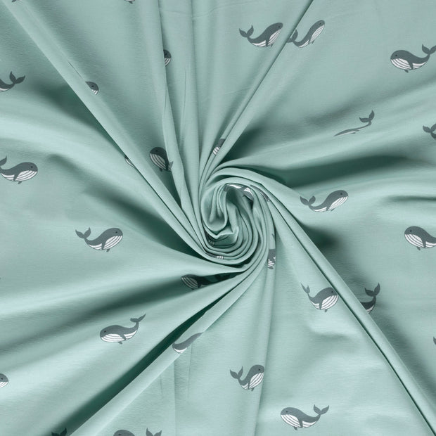 Jersey fabrik Babyblau bedruckt 