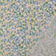 60414/050