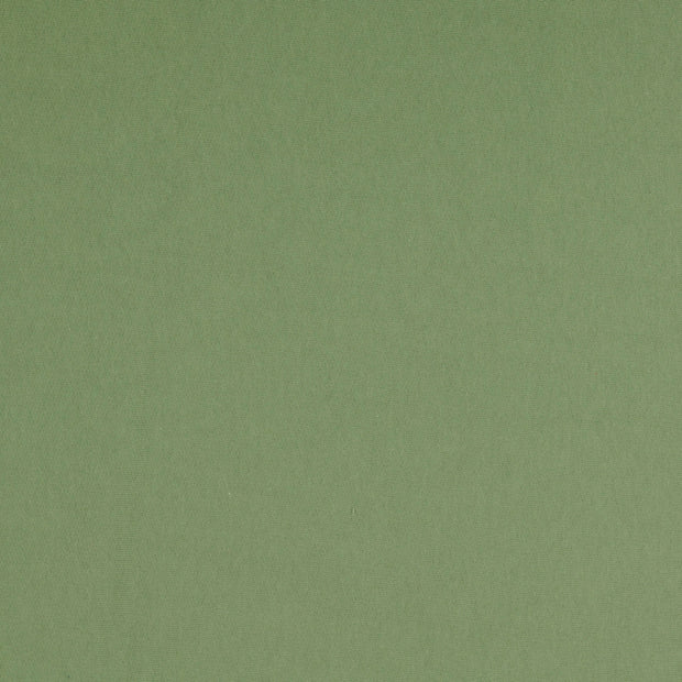 Jogging fabric Apple Green 