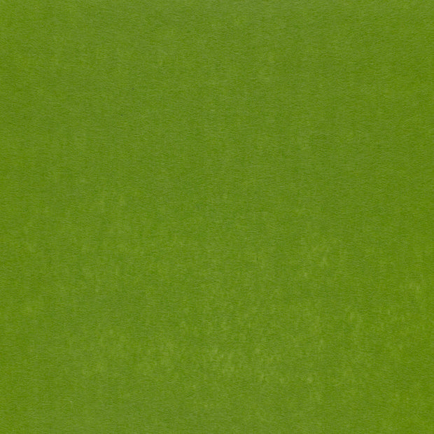 Felt fabric Green matte 