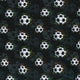 27610/069