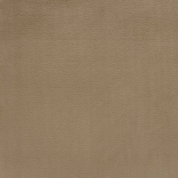Coral Fleece fabric Beige soft 