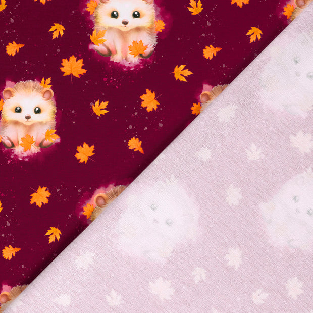 French Terry fabric Hedgehog digital printed 
