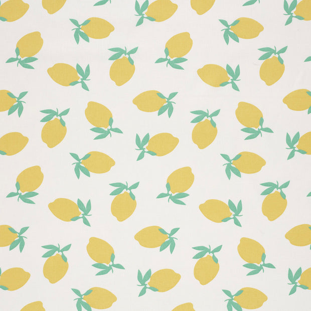 Cotton Poplin fabric Off White matte 