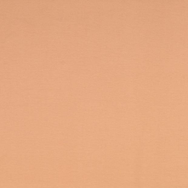 Jersey fabric Unicolour Beige